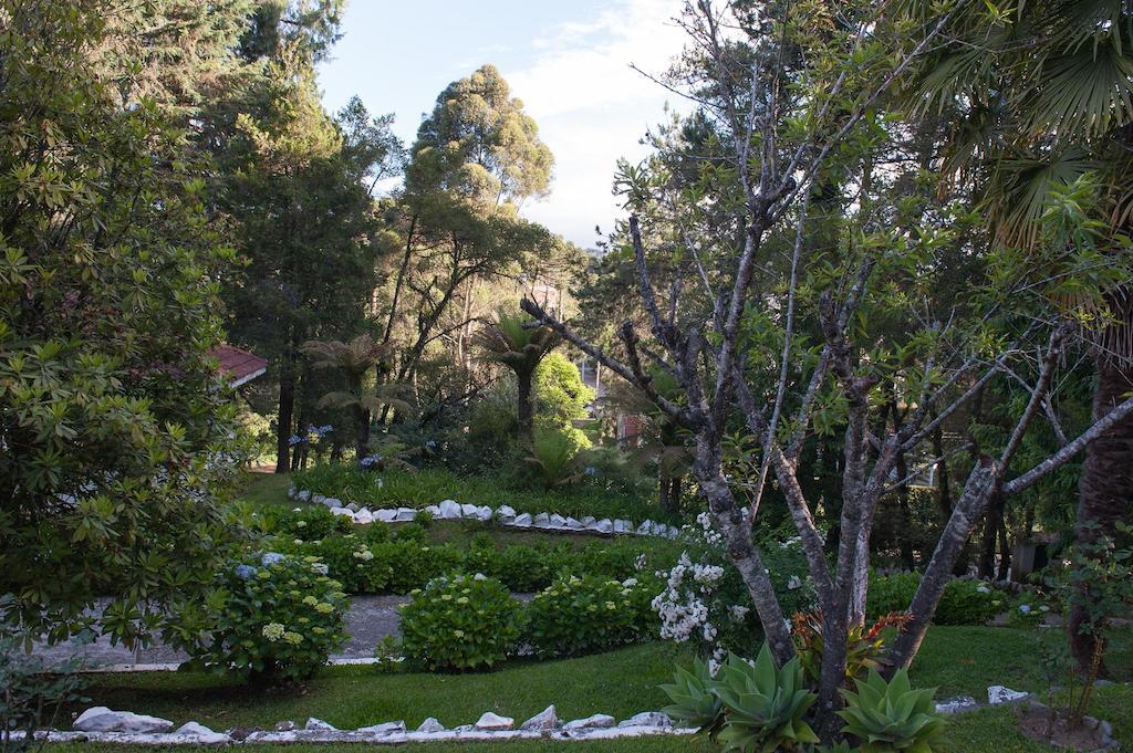 Hotel Vila Regina Campos do Jordão Eksteriør billede
