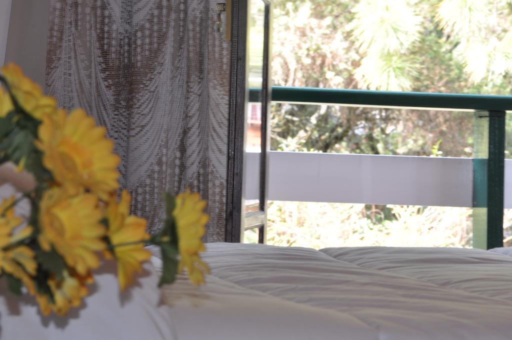 Hotel Vila Regina Campos do Jordão Eksteriør billede